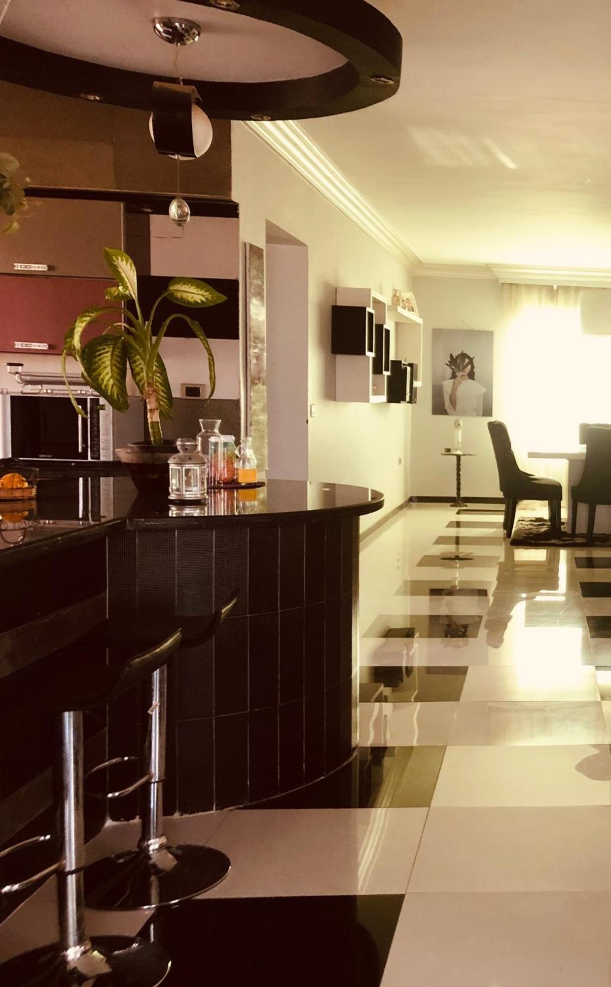Urban Bliss Luxurious Penthouse Apartment Cairo
